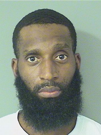  MICHAEL JAMAL BROWN Results from Palm Beach County Florida for  MICHAEL JAMAL BROWN