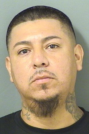  VICTOR ALFREDO CARDENASGAMBOA Resultados de la busqueda para Palm Beach County Florida para  VICTOR ALFREDO CARDENASGAMBOA