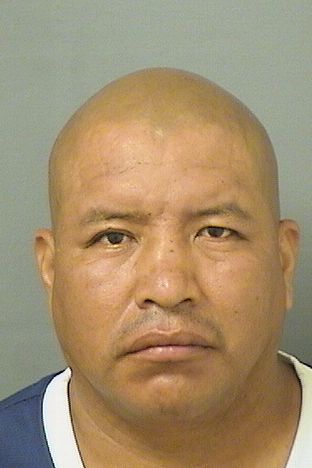  NICODEMO AJIATAZCASTRO Resultados de la busqueda para Palm Beach County Florida para  NICODEMO AJIATAZCASTRO