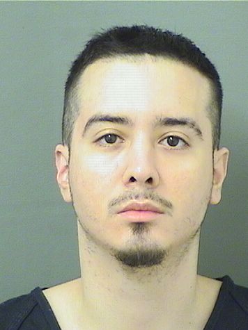  GIANNI ESTEBAN MESA Results from Palm Beach County Florida for  GIANNI ESTEBAN MESA