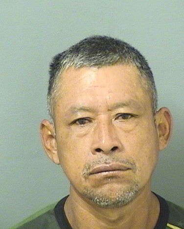  JESUS DOMINGORAMIREZ Results from Palm Beach County Florida for  JESUS DOMINGORAMIREZ