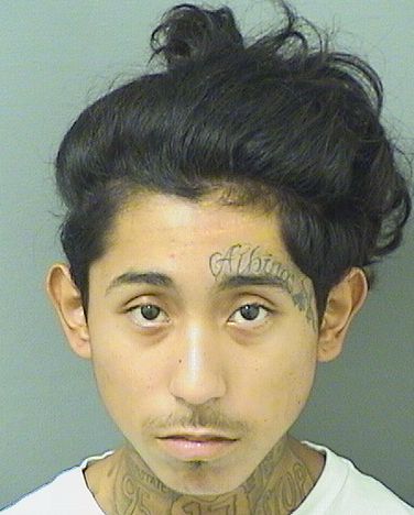  FLORIBERTO PALACIO Results from Palm Beach County Florida for  FLORIBERTO PALACIO