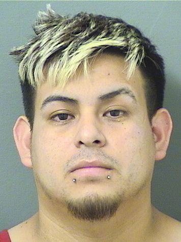  PATRICK ROBERT MIRANDA Resultados de la busqueda para Palm Beach County Florida para  PATRICK ROBERT MIRANDA