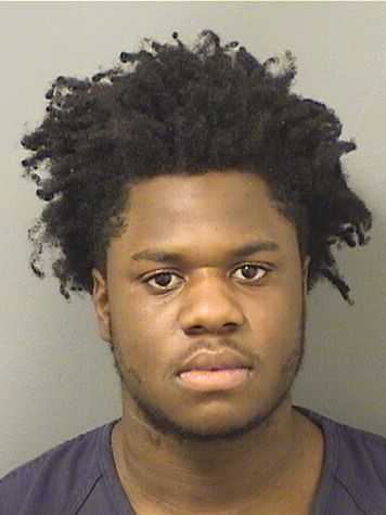  DELANOS L III BROWN Resultados de la busqueda para Palm Beach County Florida para  DELANOS L III BROWN