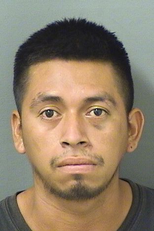  OLMAN E MONZONVELASQUEZ Results from Palm Beach County Florida for  OLMAN E MONZONVELASQUEZ