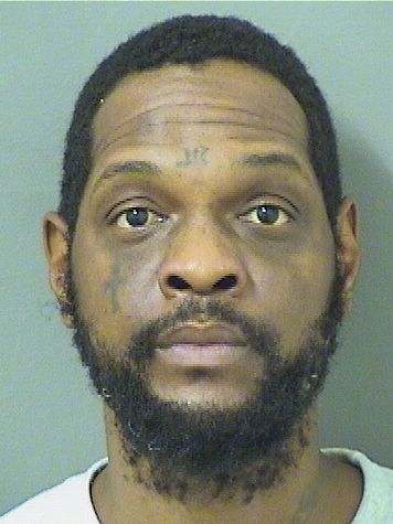  MICHAEL GERRARD CHARLOTIN Resultados de la busqueda para Palm Beach County Florida para  MICHAEL GERRARD CHARLOTIN