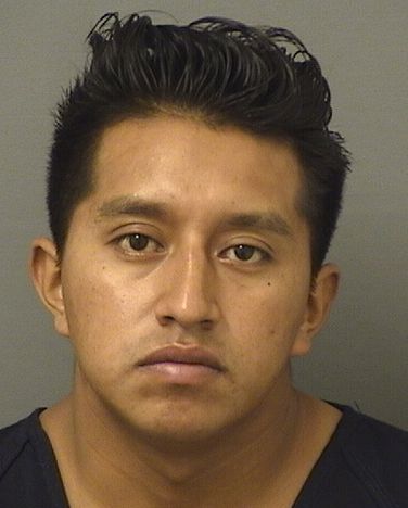  EMILIO MATIASDOMINGO Resultados de la busqueda para Palm Beach County Florida para  EMILIO MATIASDOMINGO