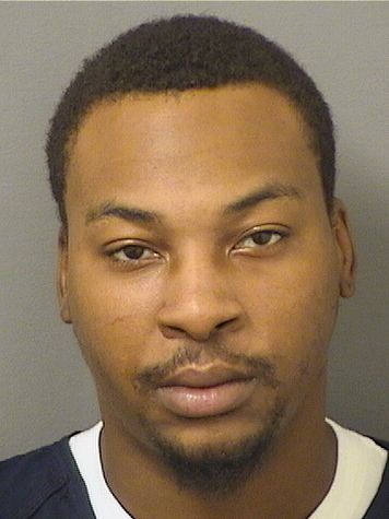  REGINALD VINCE DESAMEAU Results from Palm Beach County Florida for  REGINALD VINCE DESAMEAU