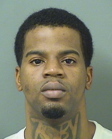 JERRELL ALVIN JOHNSON Results from Palm Beach County Florida for  JERRELL ALVIN JOHNSON  JERRELL ALVIN JOHNSON Results from Palm Beach County Florida for  JERRELL ALVIN JOHNSON