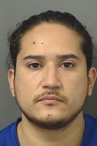  MIGUEL ADOLFO ALBAN Results from Palm Beach County Florida for  MIGUEL ADOLFO ALBAN