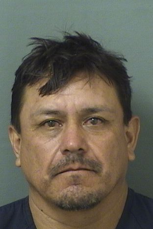 JAIME GOMEZ TOVAR Results from Palm Beach County Florida for JAIME GOMEZ TOVAR JAIME GOMEZ TOVAR Results from Palm Beach County Florida for JAIME GOMEZ TOVAR