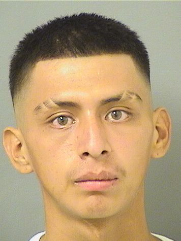  DAVID SILVESTREMATIAS Resultados de la busqueda para Palm Beach County Florida para  DAVID SILVESTREMATIAS