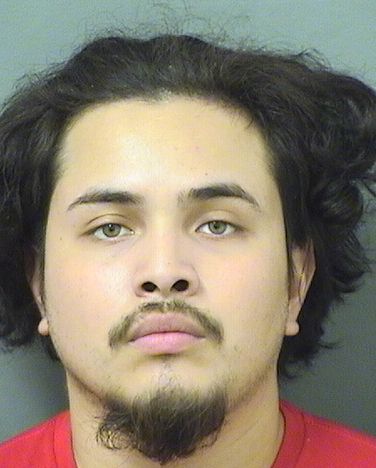  ALEJANDRO DANIEL SALGADOAGUILERA Results from Palm Beach County Florida for  ALEJANDRO DANIEL SALGADOAGUILERA