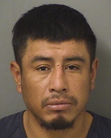  SEBASTIAN MATEOJ GASPAR Results from Palm Beach County Florida for  SEBASTIAN MATEOJ GASPAR