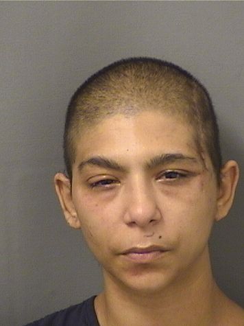 ERICKA METLOW Photos For  ERICKA METLOW  ERICKA METLOW Photo For  ERICKA METLOW