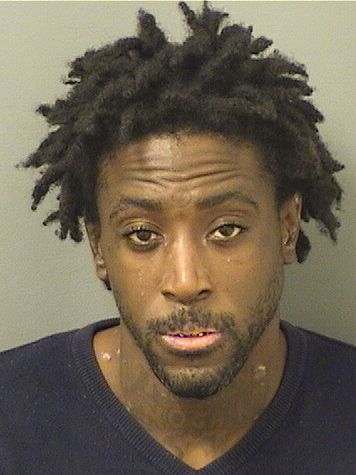  DEION N PAPA Resultados de la busqueda para Palm Beach County Florida para  DEION N PAPA