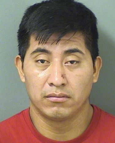 RAYMUNDO MENDEZDOMINGO Results from Palm Beach County Florida for RAYMUNDO MENDEZDOMINGO RAYMUNDO MENDEZDOMINGO Results from Palm Beach County Florida for RAYMUNDO MENDEZDOMINGO