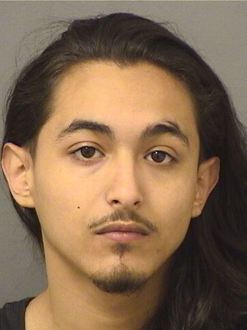  JESUS ALEXANDER GONZALEZ Results from Palm Beach County Florida for  JESUS ALEXANDER GONZALEZ