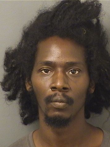  MICHAEL KENAZ FREEMAN Results from Palm Beach County Florida for  MICHAEL KENAZ FREEMAN