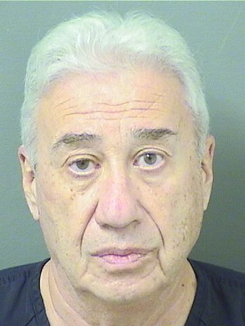  MIKHAIL IZRAEL TSILEVICH Results from Palm Beach County Florida for  MIKHAIL IZRAEL TSILEVICH