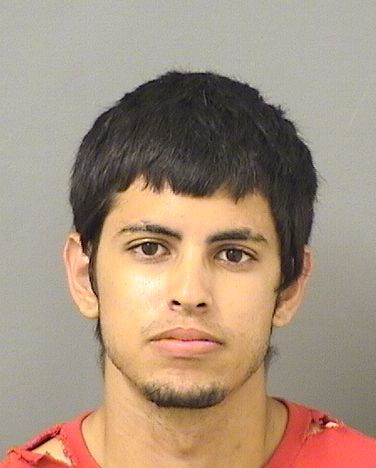  CARLOS CARDENASMONTESDEO Resultados de la busqueda para Palm Beach County Florida para  CARLOS CARDENASMONTESDEO