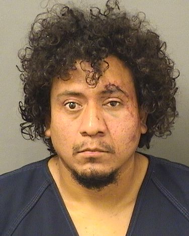  EDWIN SEBASTIANVASQUEZ Resultados de la busqueda para Palm Beach County Florida para  EDWIN SEBASTIANVASQUEZ