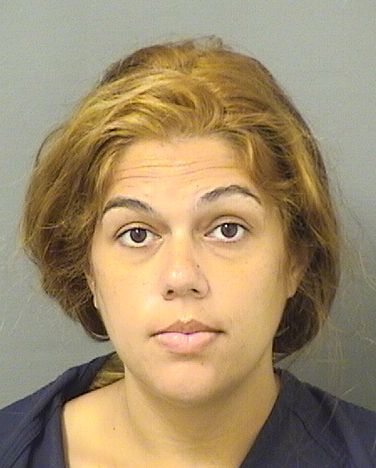  LYNINA MICHELE ROSARIO Resultados de la busqueda para Palm Beach County Florida para  LYNINA MICHELE ROSARIO