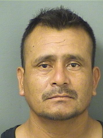  AROLDO REYNOSOJIMENEZ Resultados de la busqueda para Palm Beach County Florida para  AROLDO REYNOSOJIMENEZ