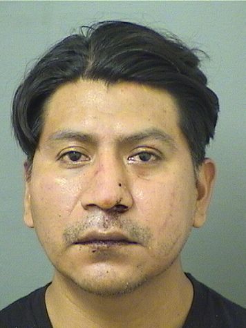  FERNANDO MENDOZA MENDOZA Resultados de la busqueda para Palm Beach County Florida para  FERNANDO MENDOZA MENDOZA