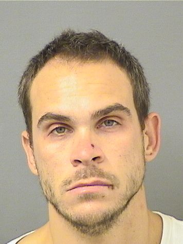  CASSIDY NICHOLAS WILLIAMS Resultados de la busqueda para Palm Beach County Florida para  CASSIDY NICHOLAS WILLIAMS