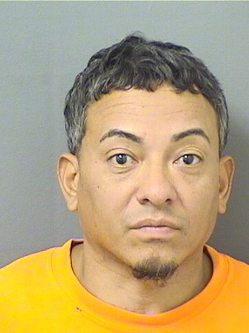  ANGEL M MAYSONET Resultados de la busqueda para Palm Beach County Florida para  ANGEL M MAYSONET