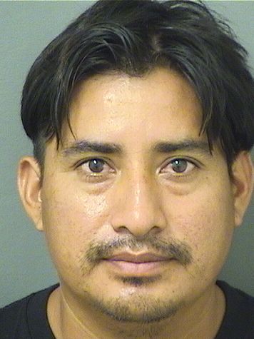  CAMALIEL PEREZ Resultados de la busqueda para Palm Beach County Florida para  CAMALIEL PEREZ