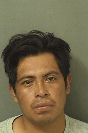 REYNALDO JIMENEZ PEREZ Results from Palm Beach County Florida for  REYNALDO JIMENEZ PEREZ  REYNALDO JIMENEZ PEREZ Results from Palm Beach County Florida for  REYNALDO JIMENEZ PEREZ