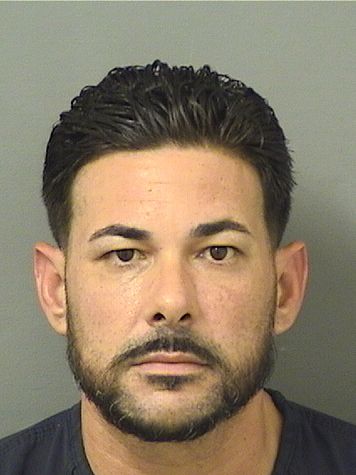  ANIEL VALLADARES Results from Palm Beach County Florida for  ANIEL VALLADARES