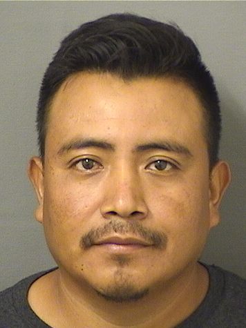 DANIER BALTAZAR HERNANDEZMATEO Results from Palm Beach County Florida for  DANIER BALTAZAR HERNANDEZMATEO  DANIER BALTAZAR HERNANDEZMATEO Results from Palm Beach County Florida for  DANIER BALTAZAR HERNANDEZMATEO