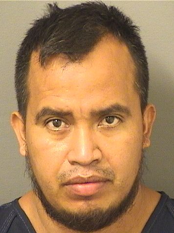  REYNALDO AGUILARVELASQUEZ Results from Palm Beach County Florida for  REYNALDO AGUILARVELASQUEZ