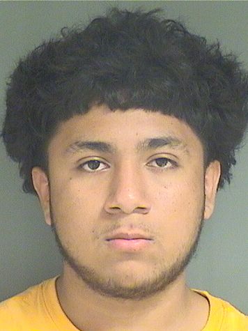  NATANAEL GARCIASIERRA Results from Palm Beach County Florida for  NATANAEL GARCIASIERRA