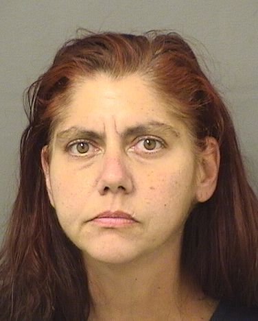  DIANA LYNN WALSH Results from Palm Beach County Florida for  DIANA LYNN WALSH