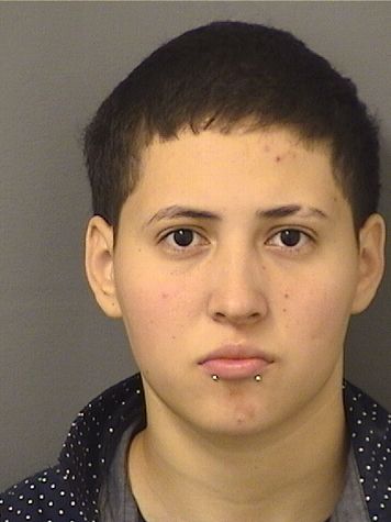  CAMILA ANDREA MONTOYA Results from Palm Beach County Florida for  CAMILA ANDREA MONTOYA