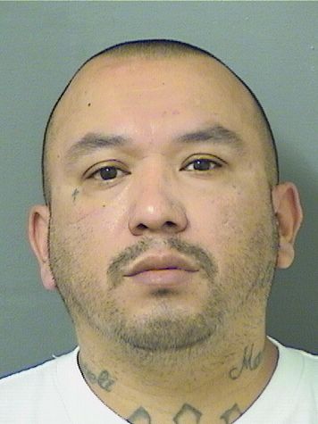  JORGE ROMERO Resultados de la busqueda para Palm Beach County Florida para  JORGE ROMERO