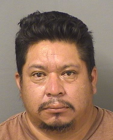  JUAN JUAN PASCUAL Resultados de la busqueda para Palm Beach County Florida para  JUAN JUAN PASCUAL