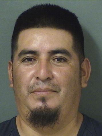  LUCAS LOPEZ Resultados de la busqueda para Palm Beach County Florida para  LUCAS LOPEZ