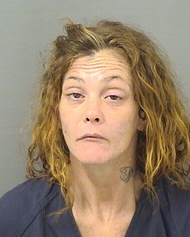  JESSECA ANN LYON Results from Palm Beach County Florida for  JESSECA ANN LYON