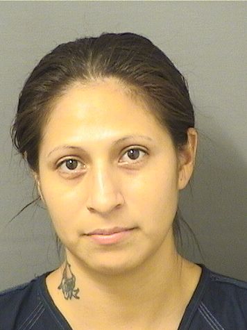  CYNTHIA GUADAL CARDENASGAMBOA Results from Palm Beach County Florida for  CYNTHIA GUADAL CARDENASGAMBOA