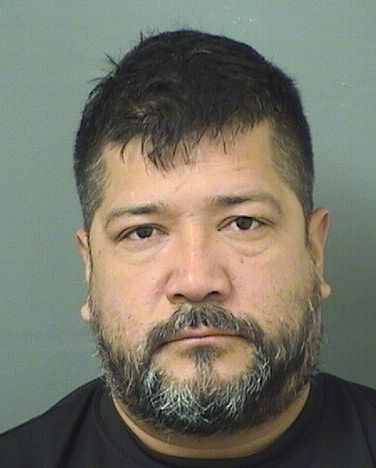  WIDVEN VELASQUEZ Results from Palm Beach County Florida for  WIDVEN VELASQUEZ