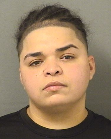  NAKITA DESIREE CAVAZOS Resultados de la busqueda para Palm Beach County Florida para  NAKITA DESIREE CAVAZOS