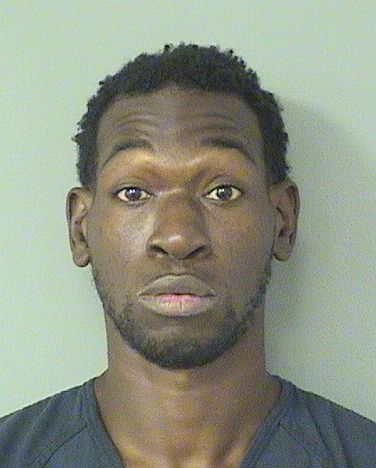  TERRY L JONESBUTLER Results from Palm Beach County Florida for  TERRY L JONESBUTLER