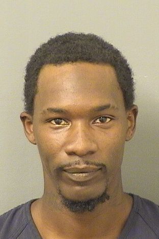  CHRISTOPHER J LEWIS Resultados de la busqueda para Palm Beach County Florida para  CHRISTOPHER J LEWIS