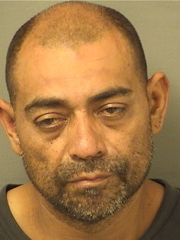  MARTIN FLORES Photo For  MARTIN FLORES