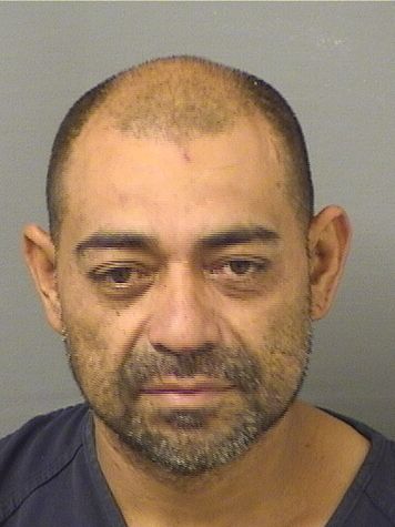  MARTIN FLORES Resultados de la busqueda para Palm Beach County Florida para  MARTIN FLORES